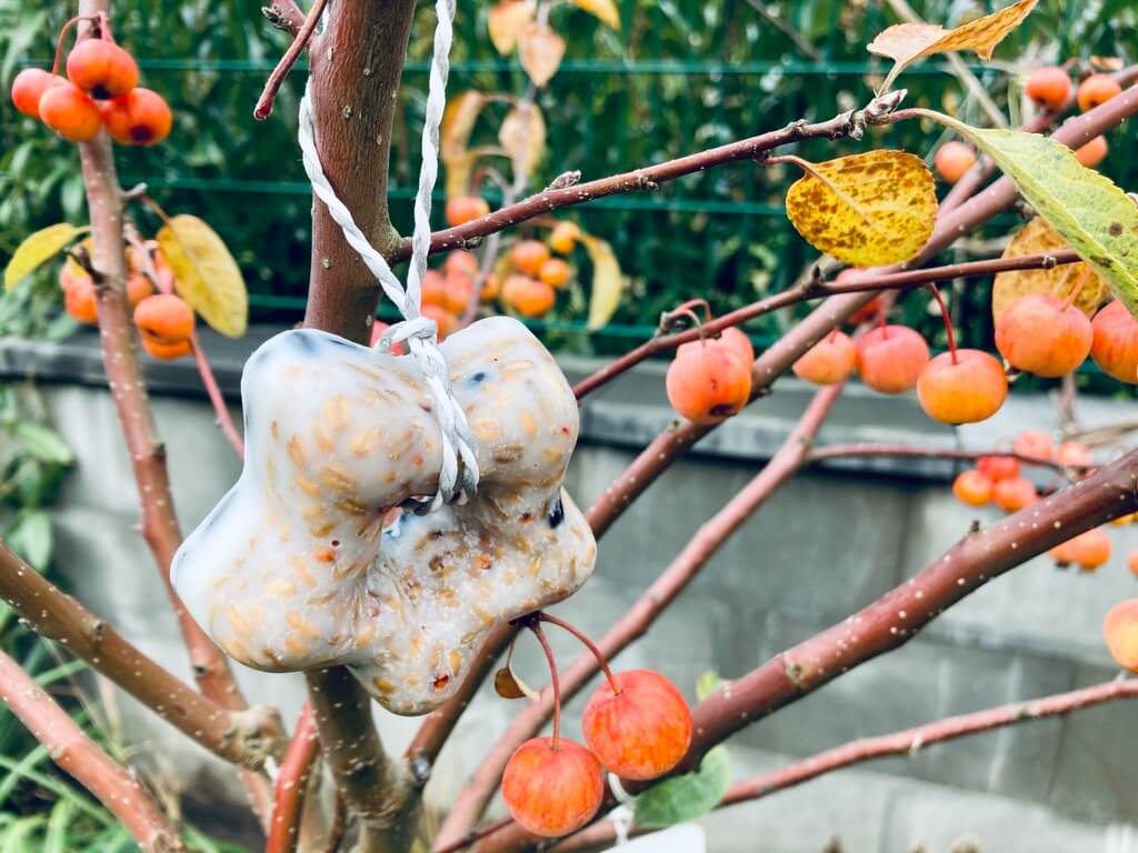 Vogelfutter Anhänger DIY